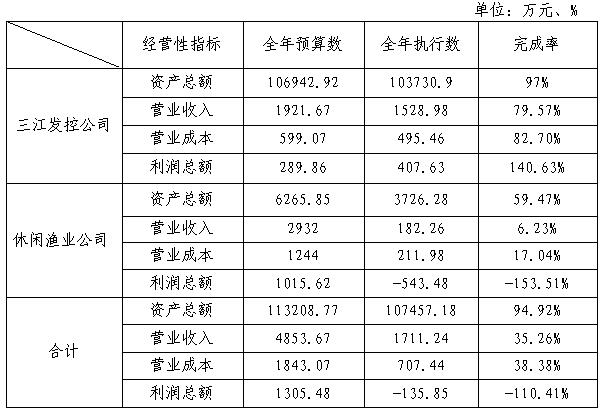 三江发控公司